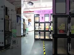 Máquina de venda automática de flores com grade Haloo 10