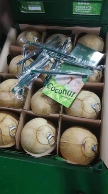Máquina de venda automática do fruto fresco do OEM combinado com rede do cacifo 4G